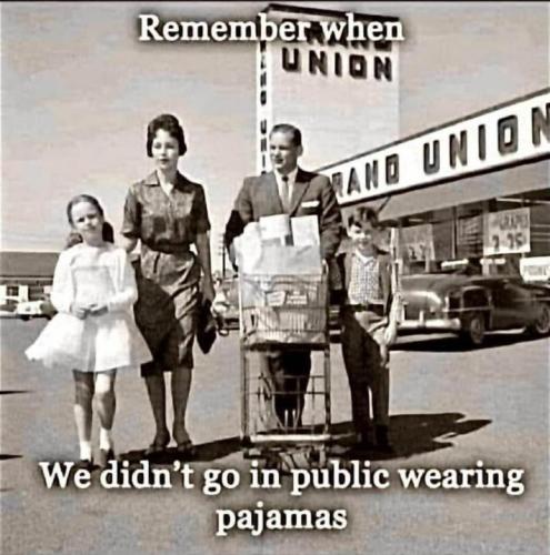 sngine_27e1a4aa5b3e31930069c4538ae57f22