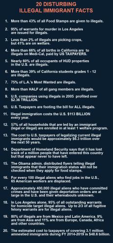 illegal alien facts2