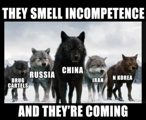 240387187_6441694572508145_1225566376365269488_n