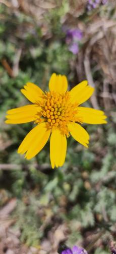 17:52:29 GMT-0500 (CDT)