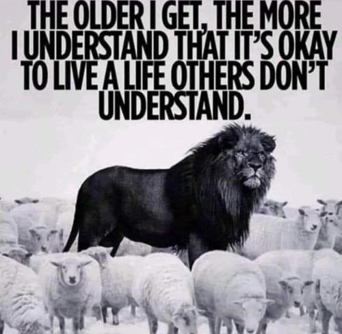 FB_IMG_1711480509728