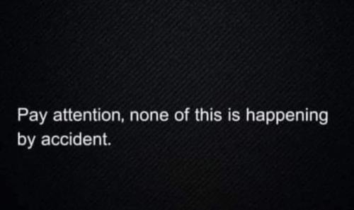 FB_IMG_1711495304251