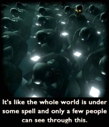 434165932_969613138095189_637153530072085937_n