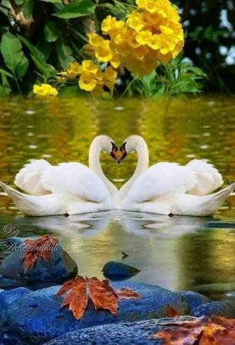 ,                             ,    ,