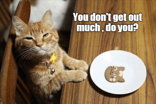 b132d468a34843046bb18828e311c92f