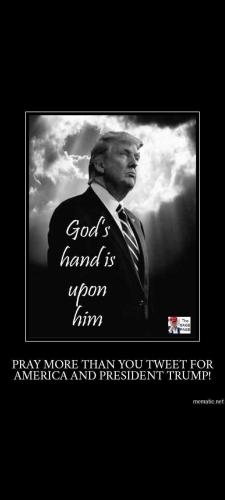 Screenshot_20230826-194603_Gallery