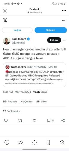 bill gates