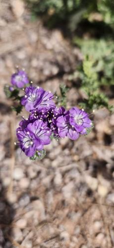 17:52:29 GMT-0500 (CDT)