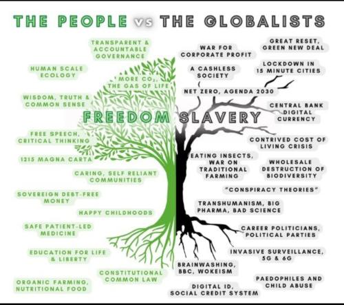People vs the Globalists
