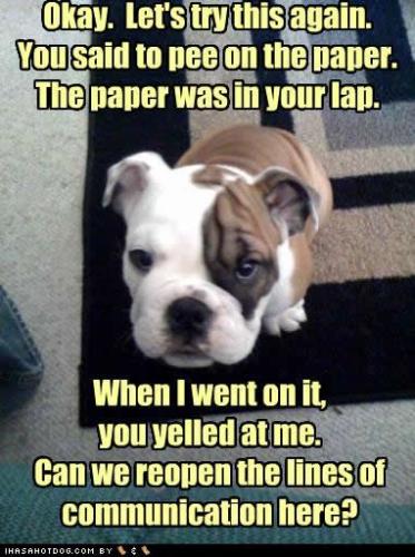 cc41f90f81e5f1afaa76ee1fabc78c6d