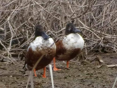 17:51:07 GMT-0500 (CDT)