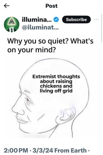 IMG_20240303_160658_283