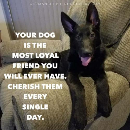 5ad1cb7e87007b7d8a558bd632cd5e14