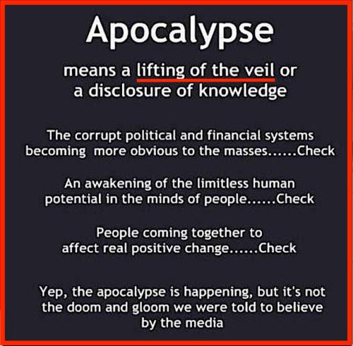 IMG_20240315_051251_367