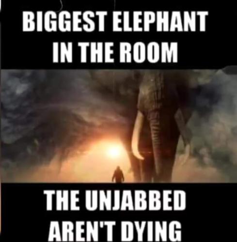 FB_IMG_1711297825042