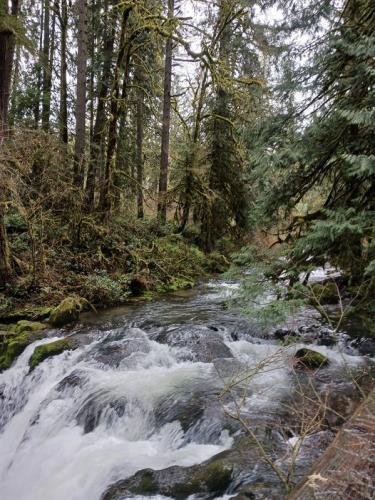 434741478_454772266899595_9163888357469323547_n