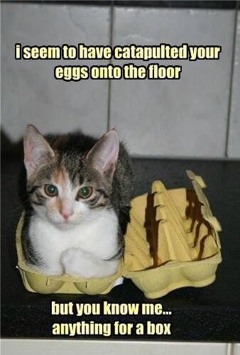 4b72ac9eef668c2726eed38fa11fd4cb