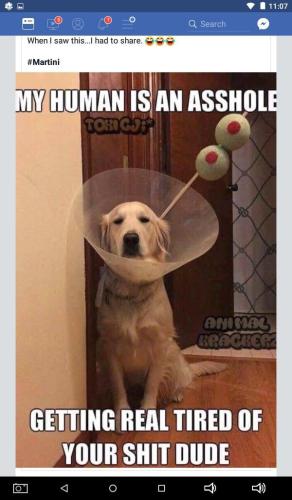 7d465f5836c5e9416dd91e2575abfa36