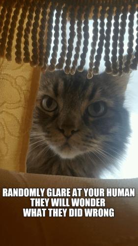 b48f554205176d9428fce3bdedd7858b