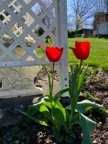 D52253CD-7FC7-4523-B5E7-900DFEB4605F