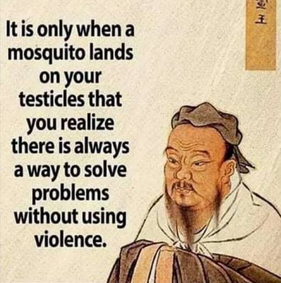 IMG_20240402_131939_521