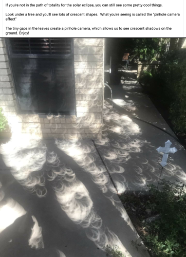 Screenshot_2024-04-08-14-37-48_kindlephoto-1698621