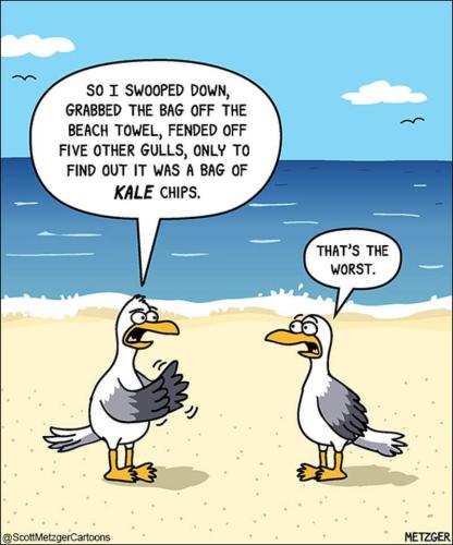 FB_IMG_1713594133924