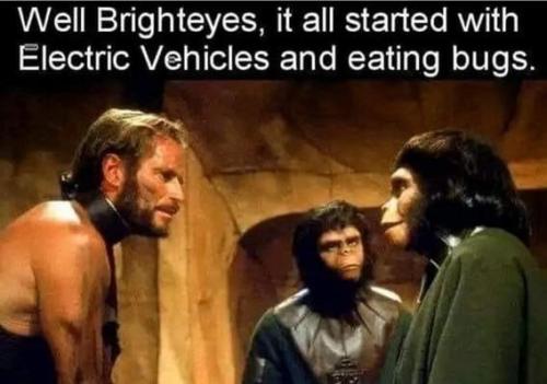 IMG_20240404_011203_498