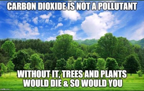 not a pollutnat
