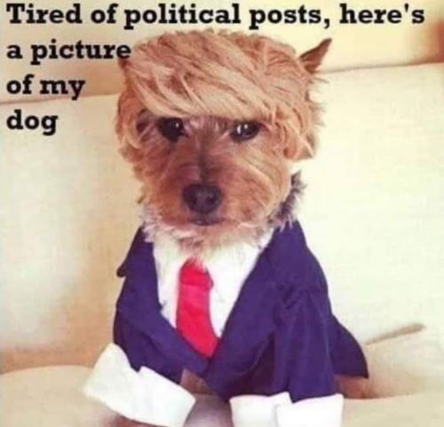 FB_IMG_1713744549558