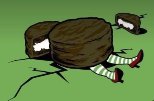 FB_IMG_1713357483615