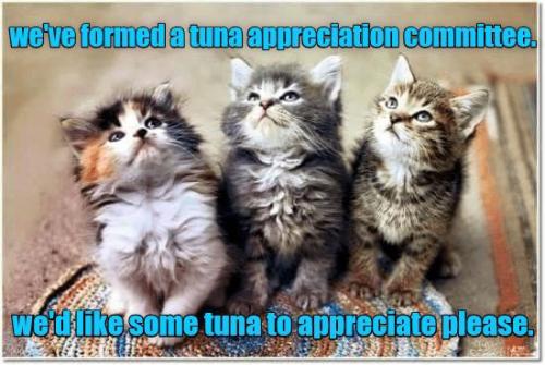 316dd59162dfa969095c566eb958e4ed