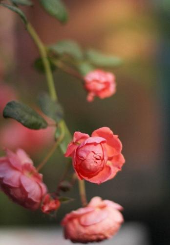 IMG_20240402_135302_560