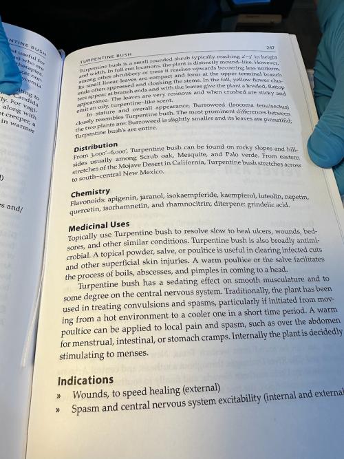 175E2410-1010-4E00-BEF4-73A73D7366C5