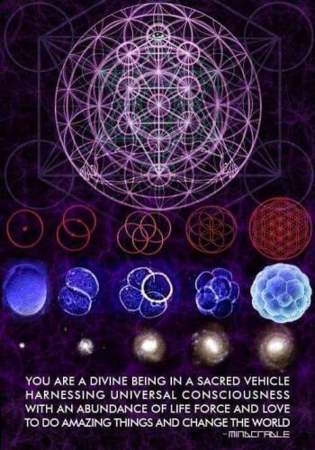 zzzzzzzzzzzz 430464010_7548077