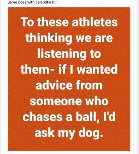 5dba49ff54116cb74d860544ddd55463