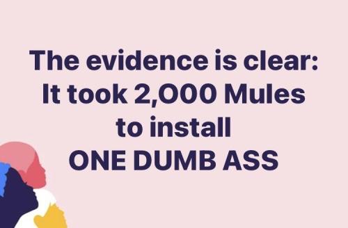 evidence_2000_mules_installed_a_dumbass_biden