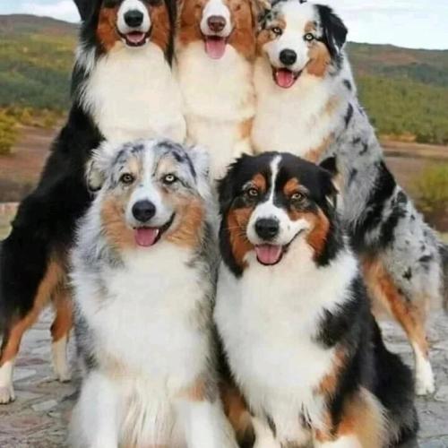 IMG_20240329_184310_566