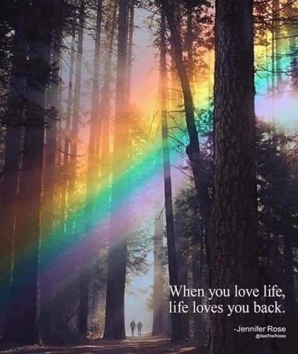 FB_IMG_3193347134711571848