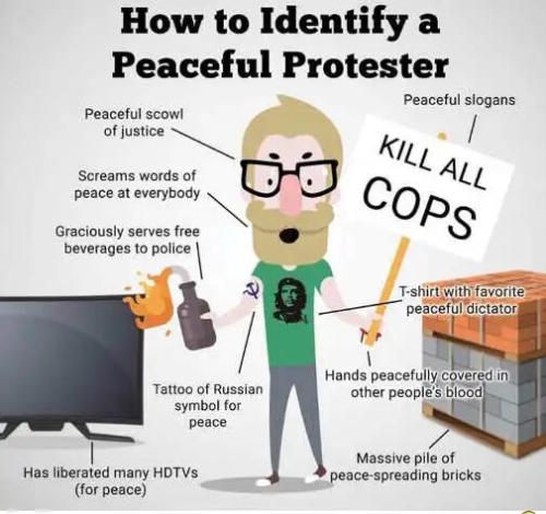 xephula_ab42a4cd85864fc9ea51898fbb3de6b4