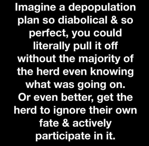 FB_IMG_1712085938953