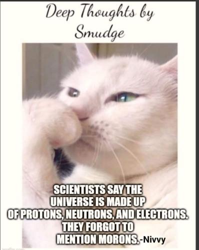 FB_IMG_1713351891961