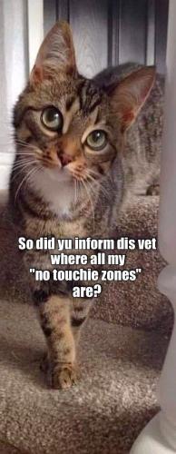 d9eb655f05dcea1c8d804a86f2a9e2c7