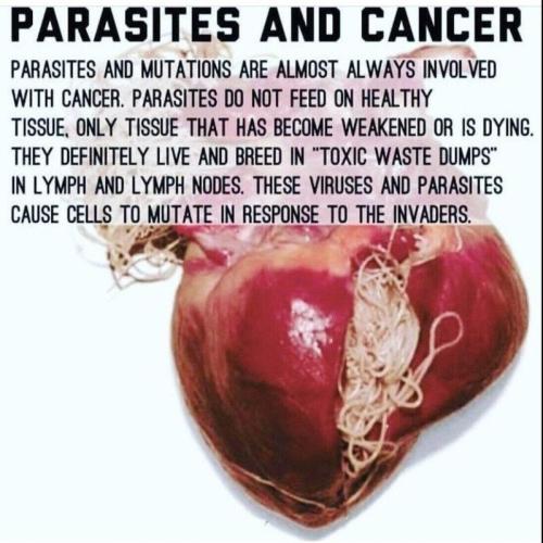 parasites