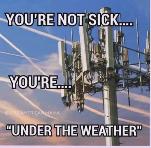 Screenshot_20240426_094900_Instagram