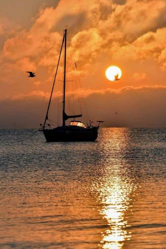 img-626fa348