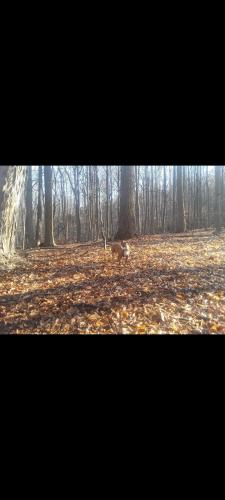 Screenshot_20231104-113040_Gallery