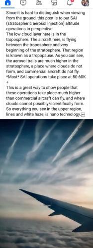 FB_IMG_1707317141453