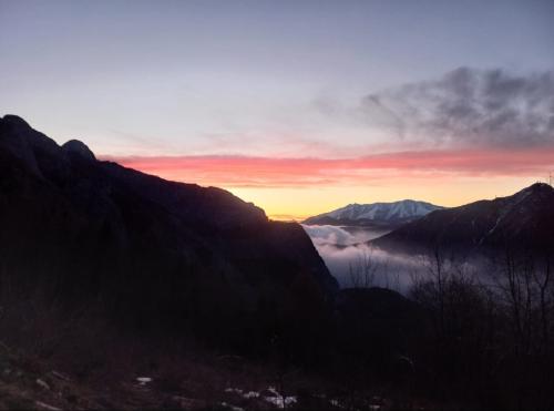 Screenshot_20240404_132617_WhatsApp