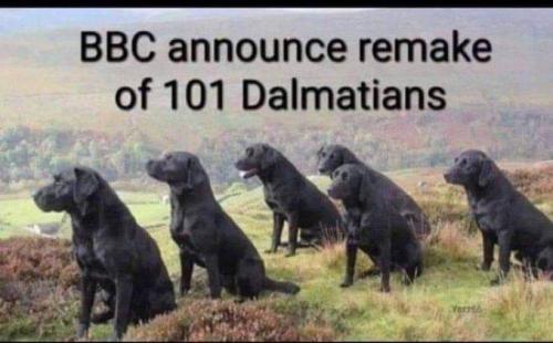 FB_IMG_1712409974916